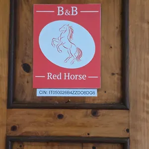Red Horse , Pisa Italy